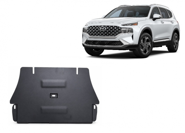 Scut catalizator Hyundai Santa Fe