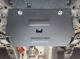 Scut catalizator Hyundai Santa Fe 57